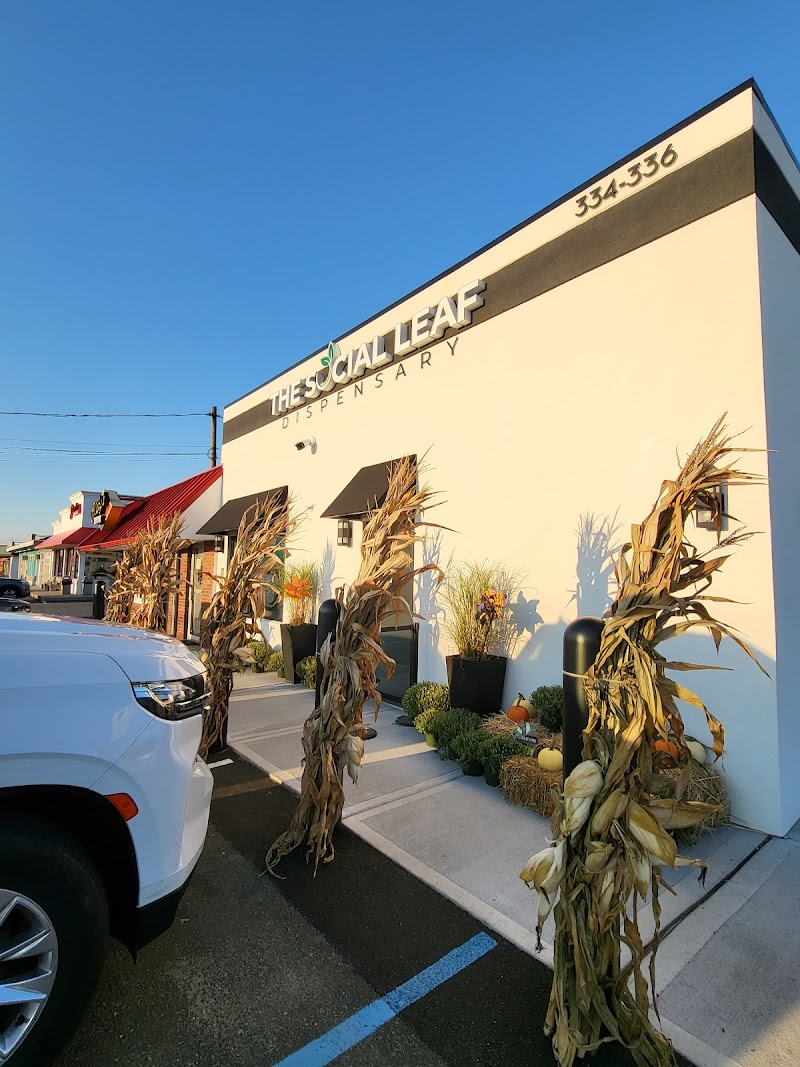 The Social Leaf logo