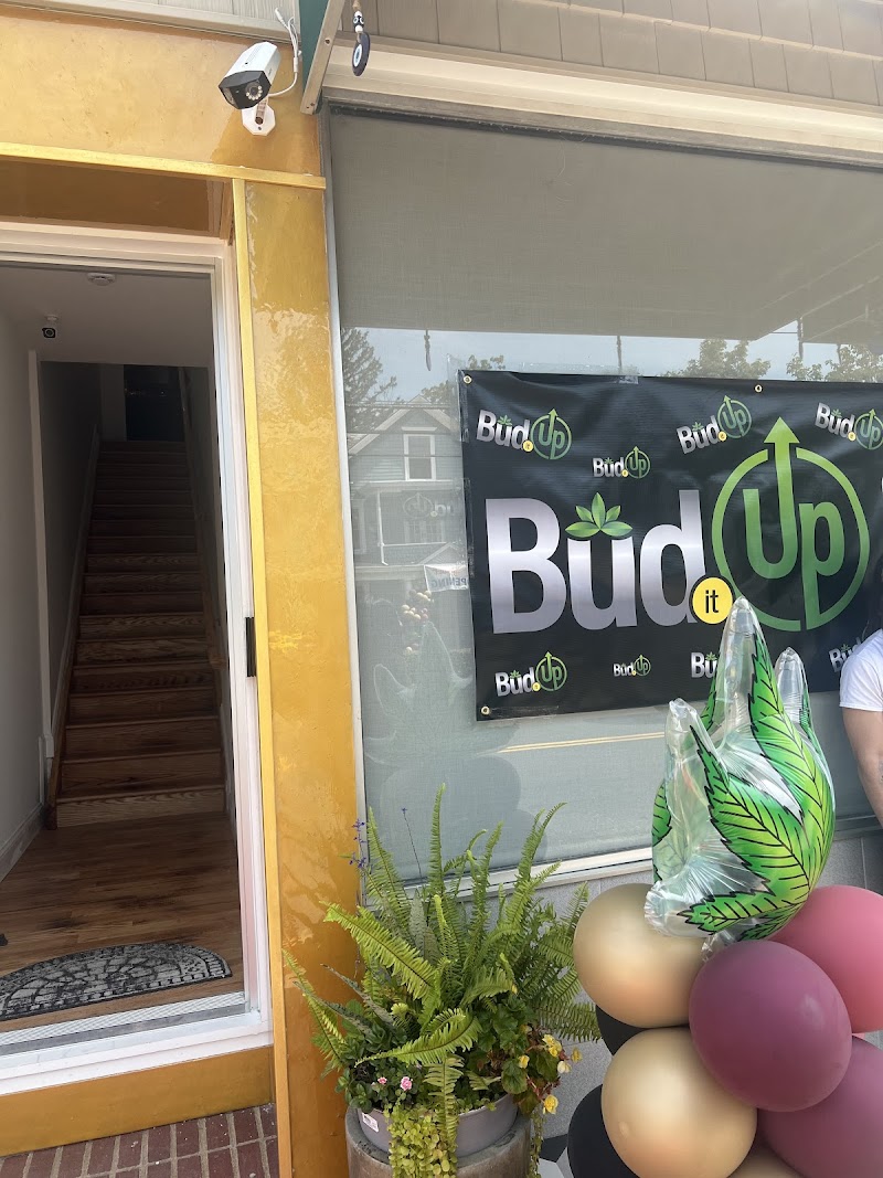 Bud It Up Dispensary logo