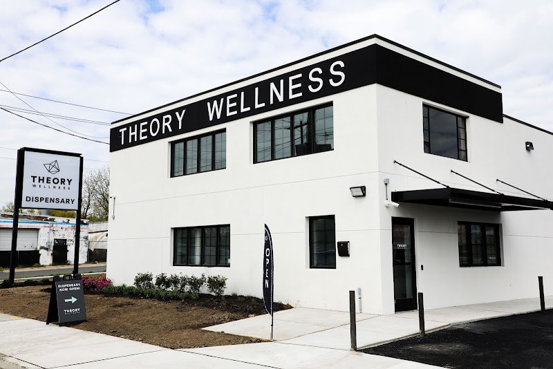 Theory Wellness: Trenton Dispensary logo