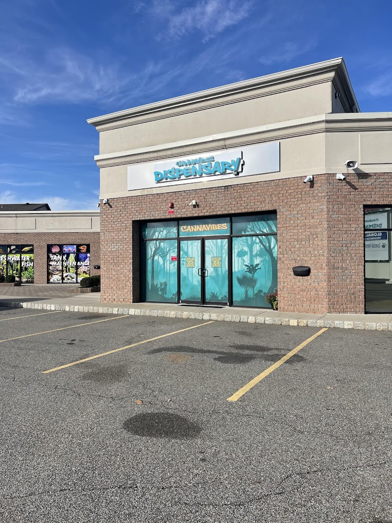 Cannavibes Dispensary Elmwood Park NJ logo