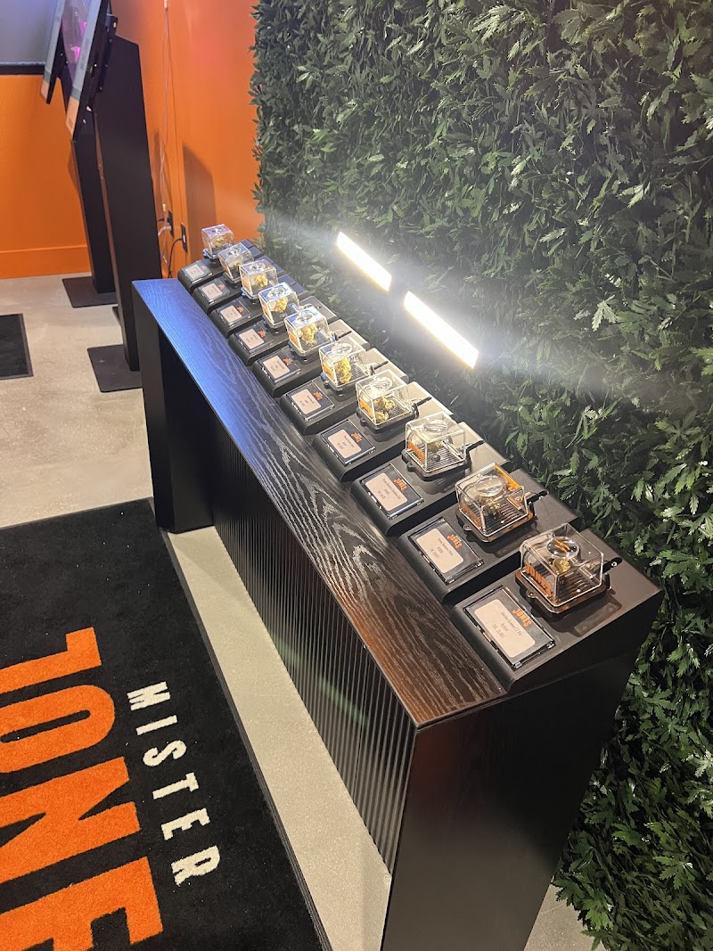 Mister Jones Cannabis Dispensary logo