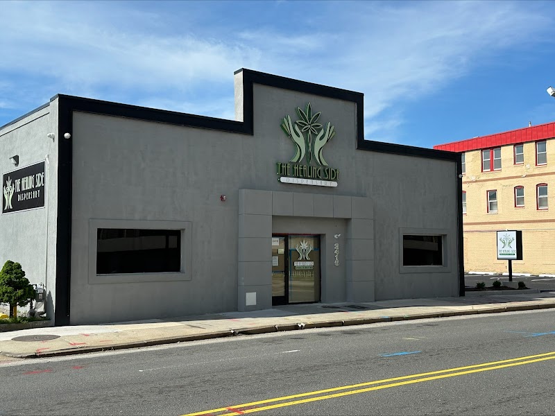 The Healing Side logo