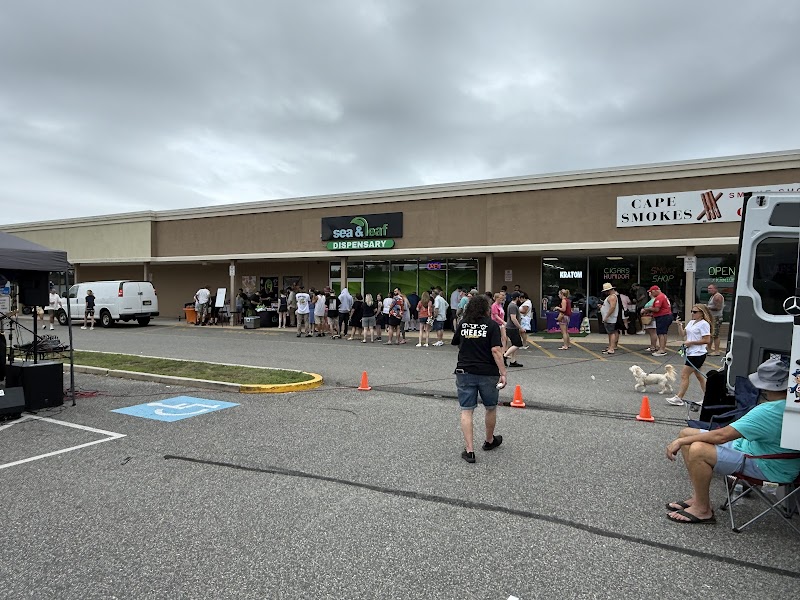 Sea and Leaf Best Cannabis Dispensary Near ( North Cape May) logo