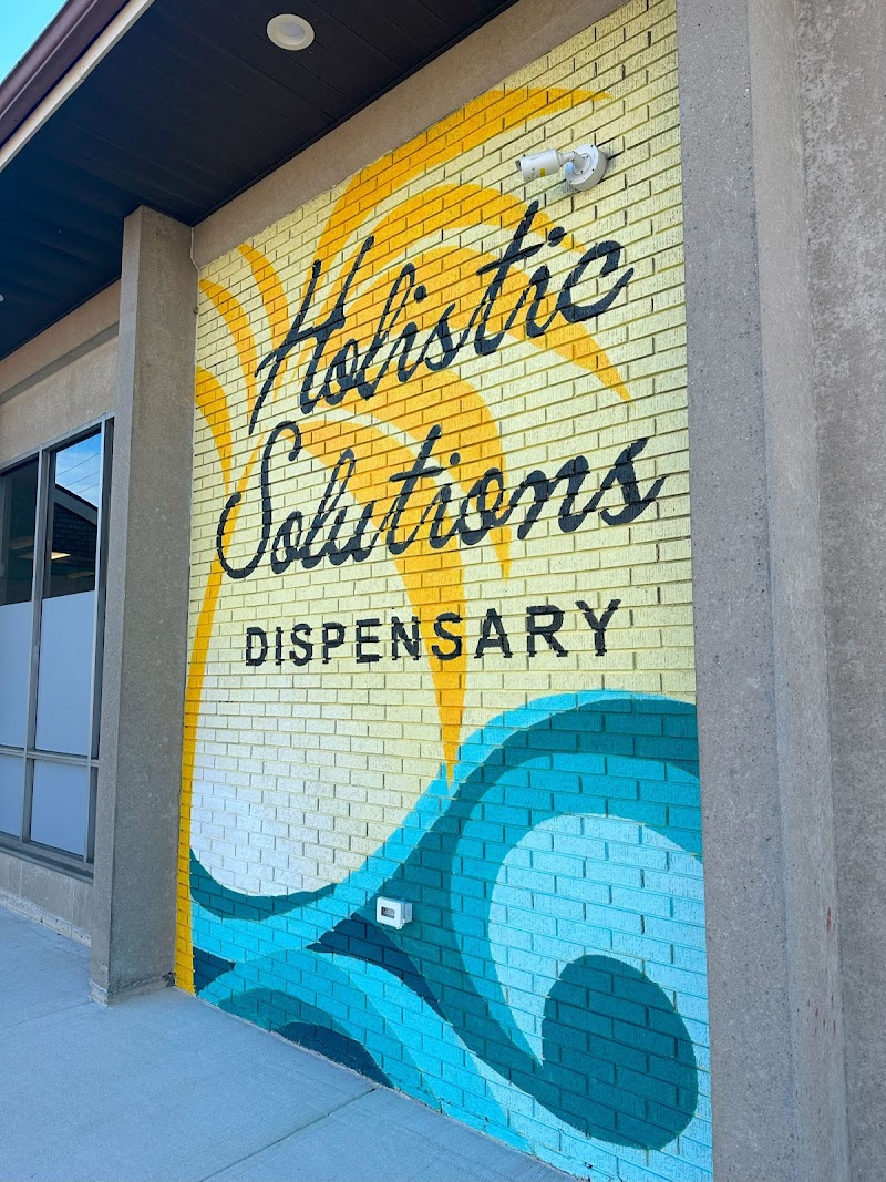 Holistic Solutions logo