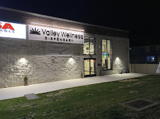 Valley Wellness logo