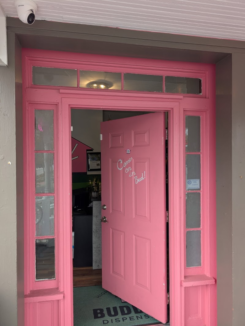 Buddy's Dispensary logo