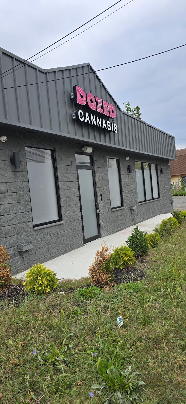 Dazed Cannabis - Somerset logo