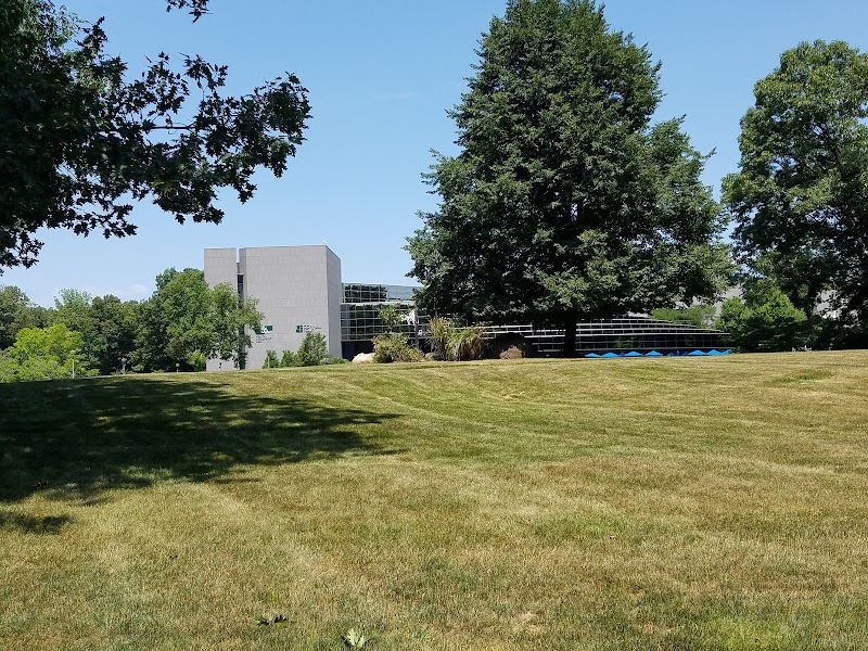 Connell Foley LLP logo