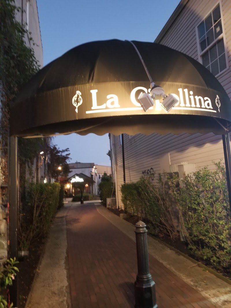 Wonderland Smoke Shop Freehold logo